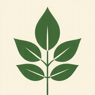 Biotthery - Natural Health & Beauty logo