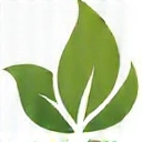 Natural ingredient icon